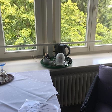 Gasthaus Zum Loewen - Restaurant Akropolis Hausach Εξωτερικό φωτογραφία